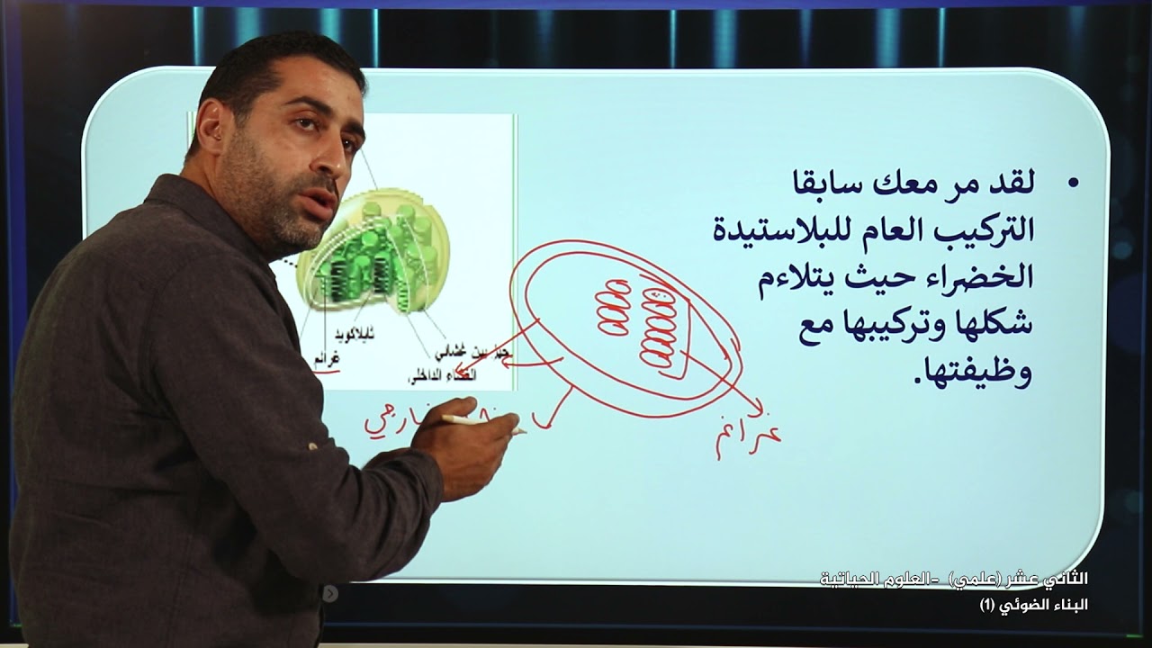 -2021- الاحياء | الوحدة 1 | البناء الضوئي 1 تدفق الطاقة | الدرس 1 | الصف 12 | الفصل 1