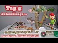 Besuch vom Weihnachtswichtel 2024 Tag 5 #weihnachten #wichtel #weihnachtswichte