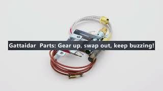 R-3624 Natural Gas Pilot Assembly with Thermopile and Thermocouple Replacement Part by Gattaidar