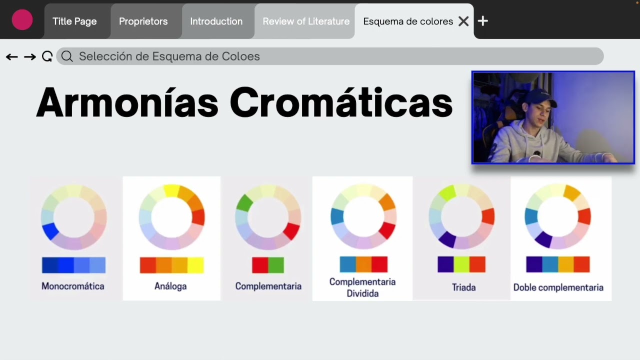 Selección de Colores | Armonias Cromaticas 🖌