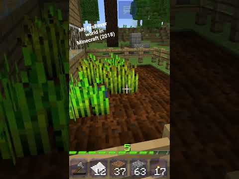 Minecraft is the best