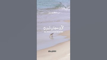 وما من دابة في الأرض إلا على الله رزقها | سورة هود | إدريس أبكر
