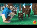 Como ter filhotes de vaca no  Survivalcraft 2  MOD Jurassic Craft 3.0