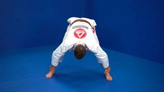 Sumo Squat with Rotation