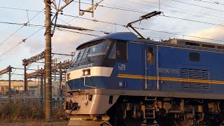 【吹田押桃牽引遅延貨物】JR貨物 EF210-316号機+コキ24B 吹A124仕業[2064レ] 東京タ行 八丁畷〜川崎新町間通過！