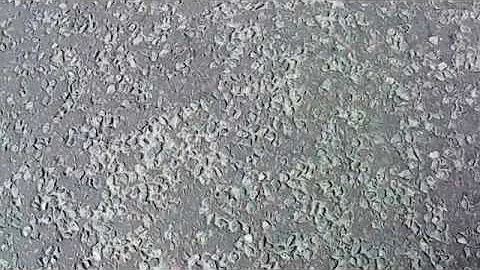 Audi A5 3.0 TDI DPF & CAT Delete/Gutted Straight through pipe 330BHP / 730NM Stage 2