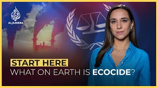 What On Earth Is Ecocide? Start Here