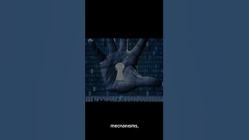 IPRockets Unveiled: The Safety Net of Socks Proxies in Online Security