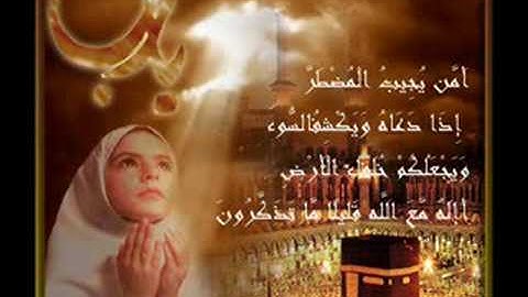 تلاوة مباركة للشيخ ابو حاتم المنذري
