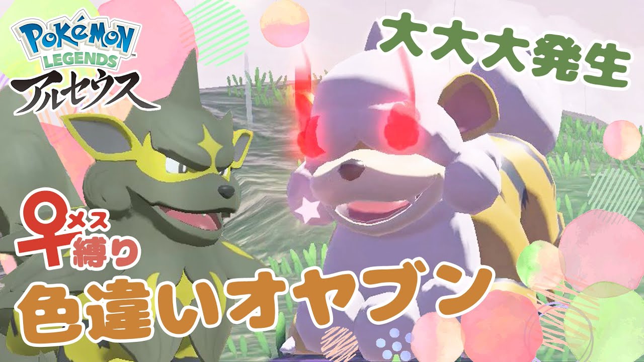 まだひかおま持ってないけど♀色オヤブンヒスイガーディ狙うぞ