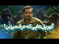 گوریل ها حیواناتی که میتونن با انسان ارتباط برقرار کنن گوریل ها حیواناتی که میتونن با انسان ارتباط برقرار کنن
