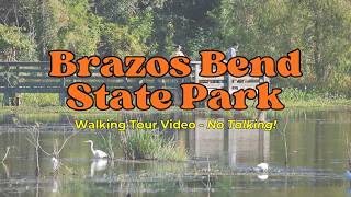 I Saw Alligators on This 30 Minute Walk at Brazos Bend State Park | Texas Wildlife 🐊