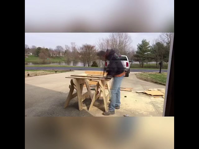 Jackass Sawhorse - YouTube