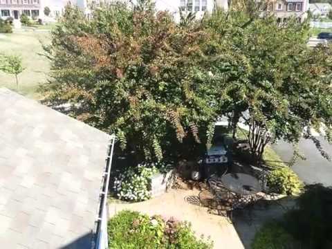20793 Red Cedar Dr, Leesburg, VA home video tour