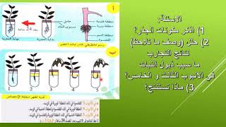 الدرس 10: أحدد مقر امتصاص المحلول المعدني علوم طبيعية 1 متوسط