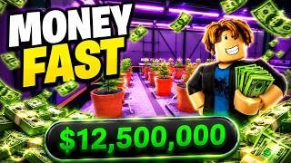 *NEW* BEST MONEY METHOD To GET RICH In San Diego Border Roleplay! Roblox screenshot 1