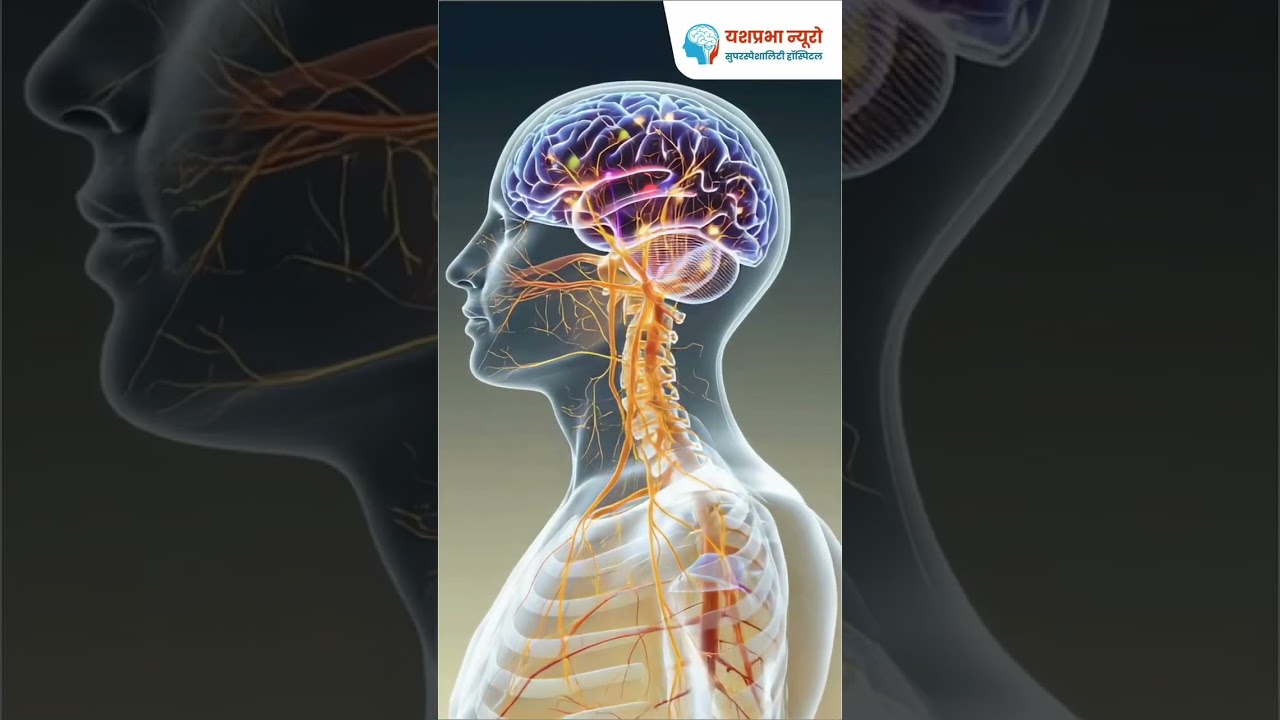 Hand pain… leg pain… back pain… tingling… numbness… weakness while walking .