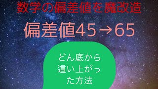 【どうすれば偏差値爆上がり！？】全統数学偏差値65が辿り着いた網羅系参考書の使い方の結論＋オマケ