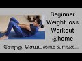Beginner full body workout to lose weight  easy exercises at home  no equipment