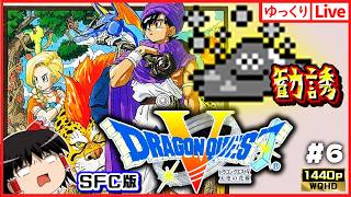 【ゆっくりボイスLive】SFC屈指の神RPG！ドラゴンクエスト5　天空の花嫁#6｜作業用BGM｜睡眠導入｜高画質｜大画面推奨