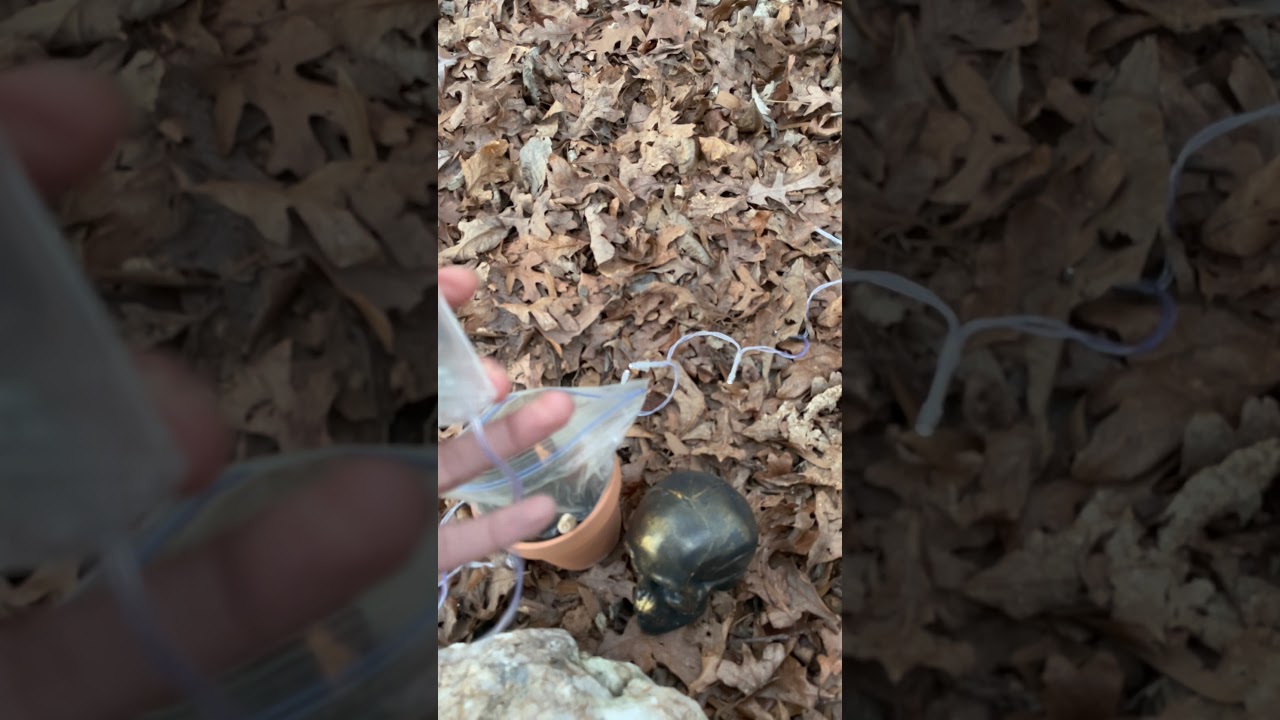 Paranormal, otherworldly, fae creatures.mysterious sounds -fun with the wodens. (Quick voice 