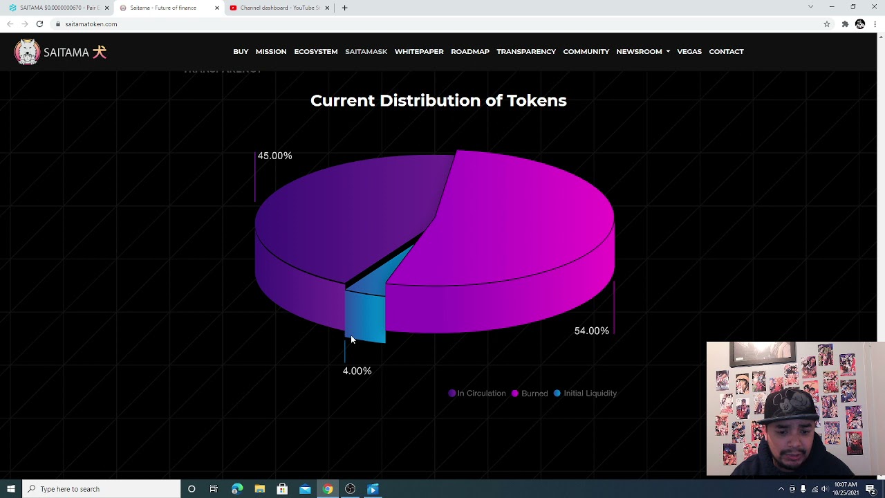 How to Buy Saitama inu 100x