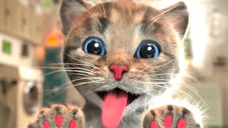 Animated Little Kitten Cute Kitten Cat Adventure - Best Educational Cartoon for Kids Learning video