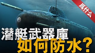 【那是為什麼】魚雷和潛射導彈都從潛艇裡發射，潛艇為何不會進水？其實原理很簡單，潛艇也能發射無人機！#潛艇 #兵器說 #美國海軍