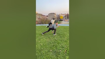 Freestyle/Toss and Fetch - Disc Dog #bordercollie #köpekeğitimi #freestyle #dogtraining #dogtrainer