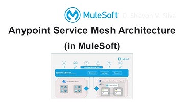 Anypoint Service Mesh Architecture (in MuleSoft)