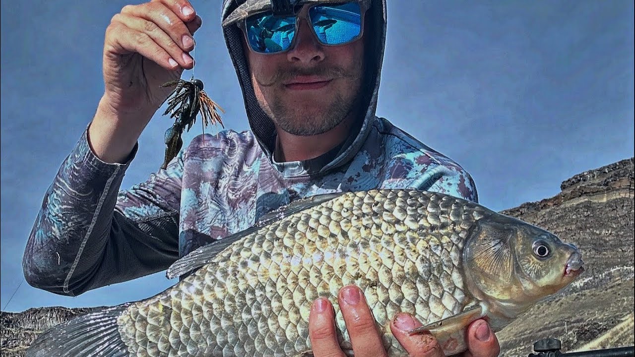 Swan falls bass fishing