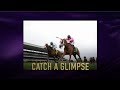 Fasigtipton november sale catch a glimpse