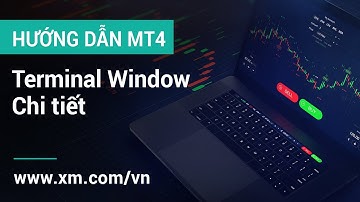 XM.COM - Hướng Dẫn MT4 - Terminal Window Chi tiết