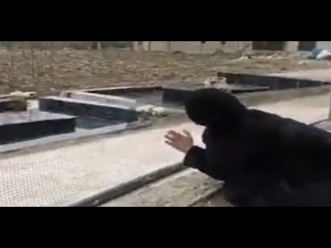 الفيديو انتشر كالنار في الهشيم: ما قصة المرأة التي تبكي ابنتها في القبر