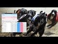 Creating a Betfair greyhound trading bot - YouTube