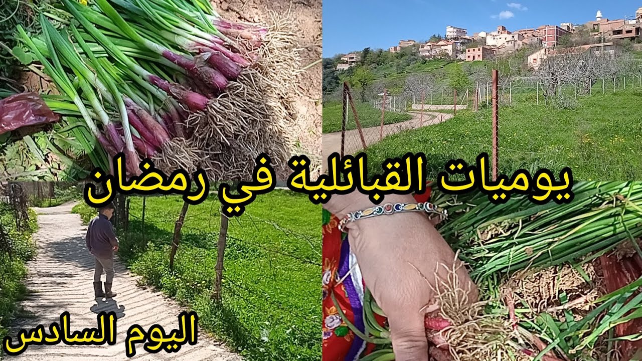 القبائلية ♓ في رمضان تخدم في الحوش 🇩🇿 اليوم غرست البصل مع ولادي 💯 comment planter des oignons