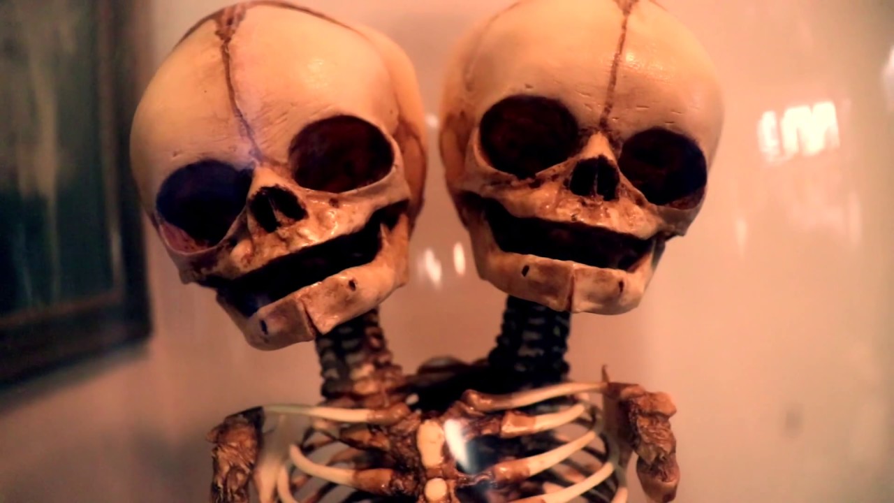 Canon EOS 77D | Best DSLR For The Price!?