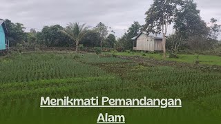 Download Lagu MENIKMATI SUASANA MENDUNG  MP3