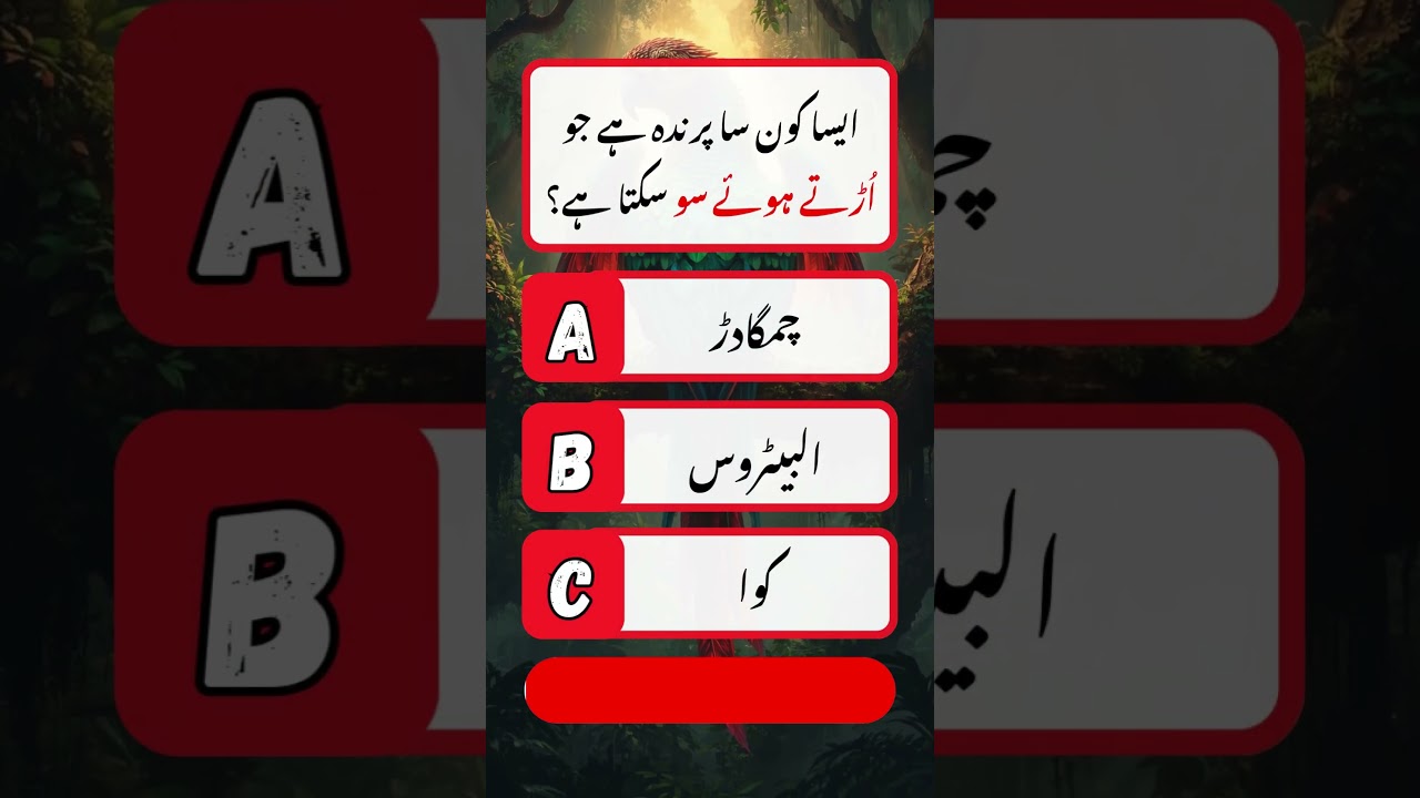 General Knowledge Quiz in Urdu | Brain Test | GK Quiz in Urdu 