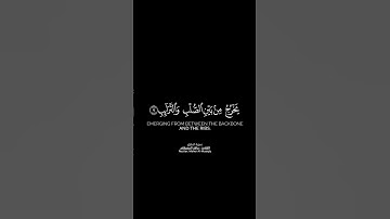 فلينظر الإنسان مما خلق شاشة سوداء | كرومات قرآن كريم بصوت #ماهر_المعيقلي | #سورة_الطارق