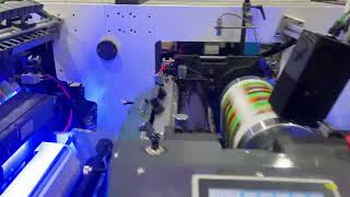 6 7 8 Color Narrow Web 350 Servo Motor Petal Type Intermittent Flexo Flexographic Printing Machine