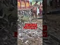 په هند کې ټنه‌ټنه منع شوي کبان له منځه یووړل شول
