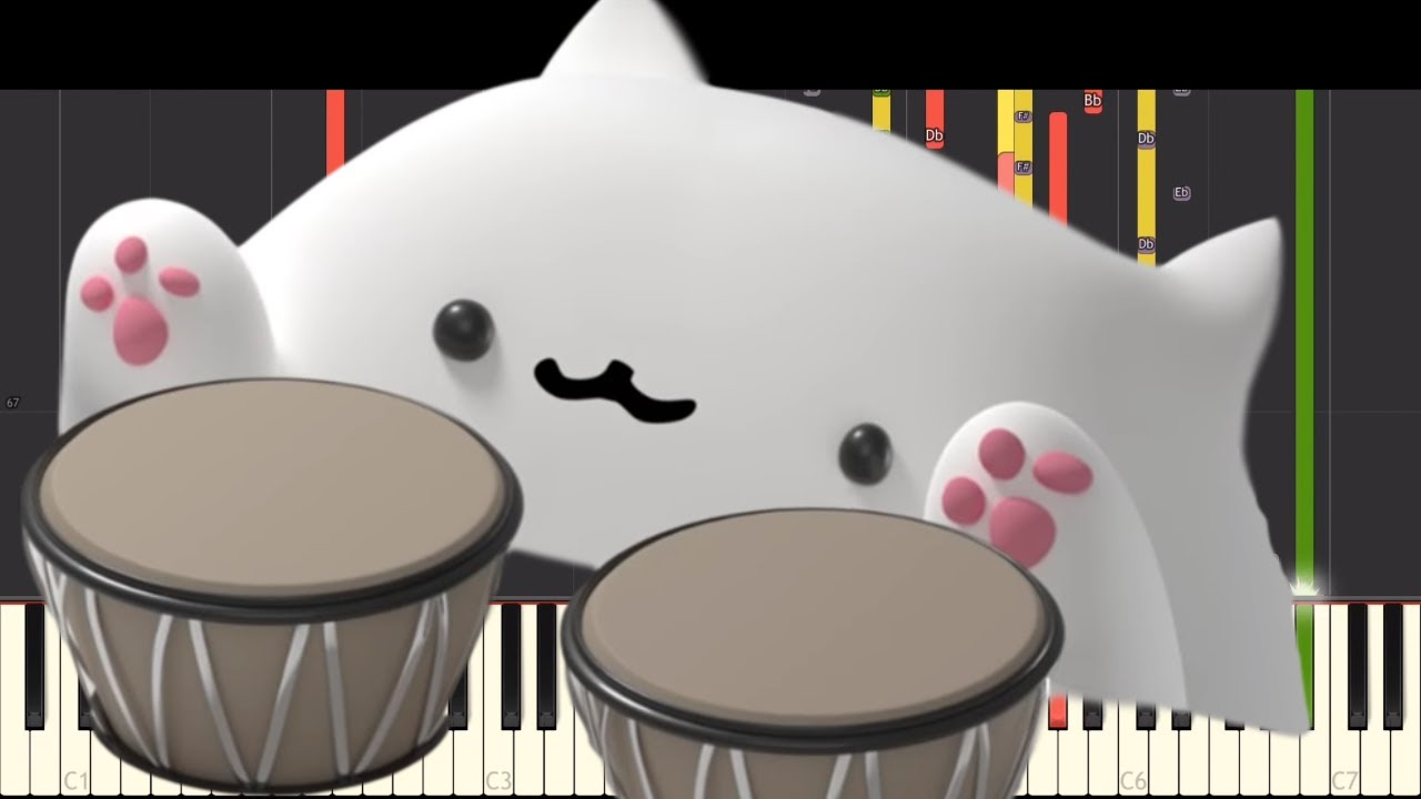 dance monkey bongo cat dance monkey bongo cat