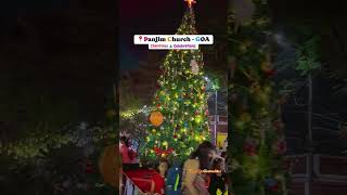 Christmas celebration at Panjim church⛪#panjim #goa #christmascelebration #2024shorts #trendingshort