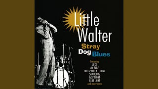 Video thumbnail of "Little Walter - My Babe"