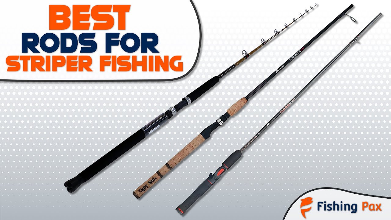 Best Rods For Striper Fishing 