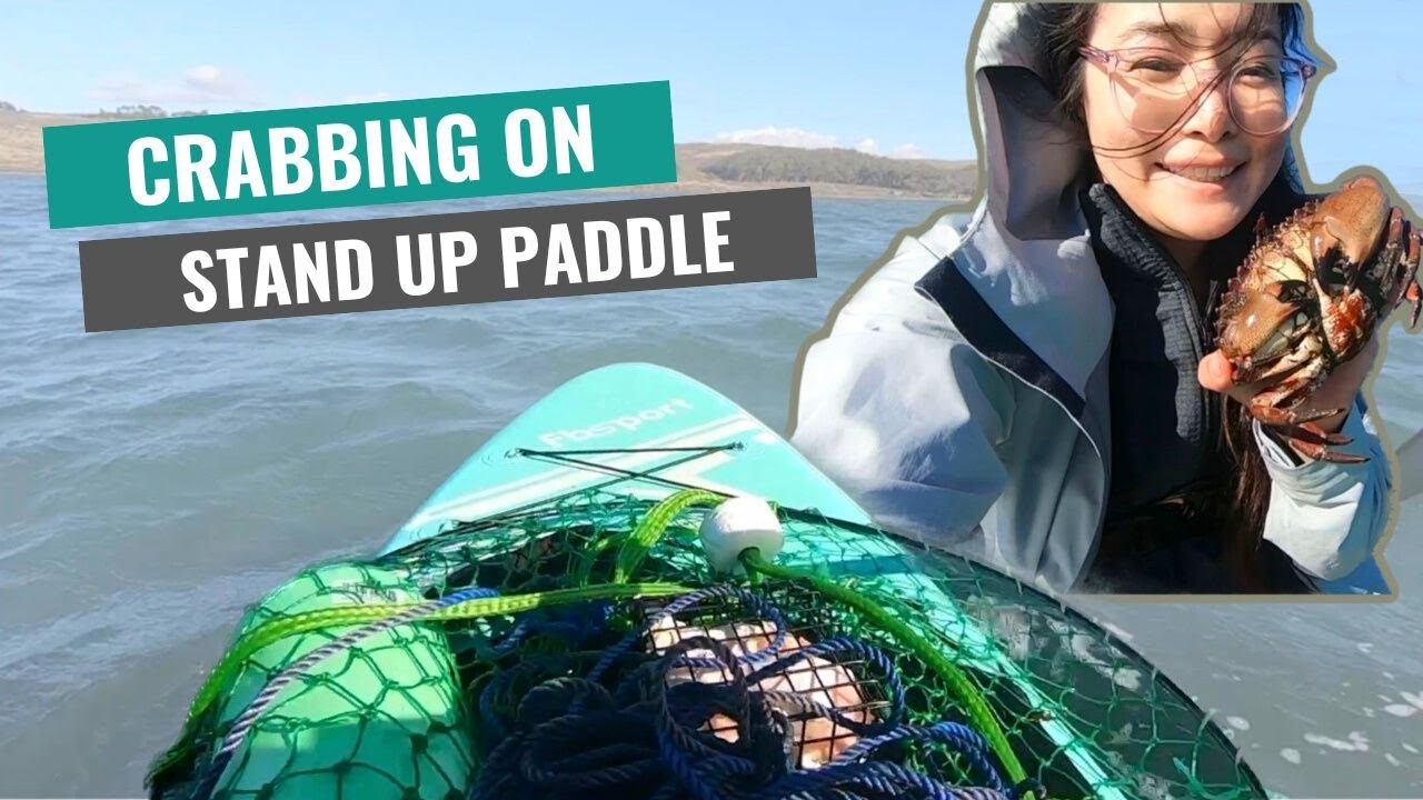 Solo crabbing trip on SUP: first timer edition