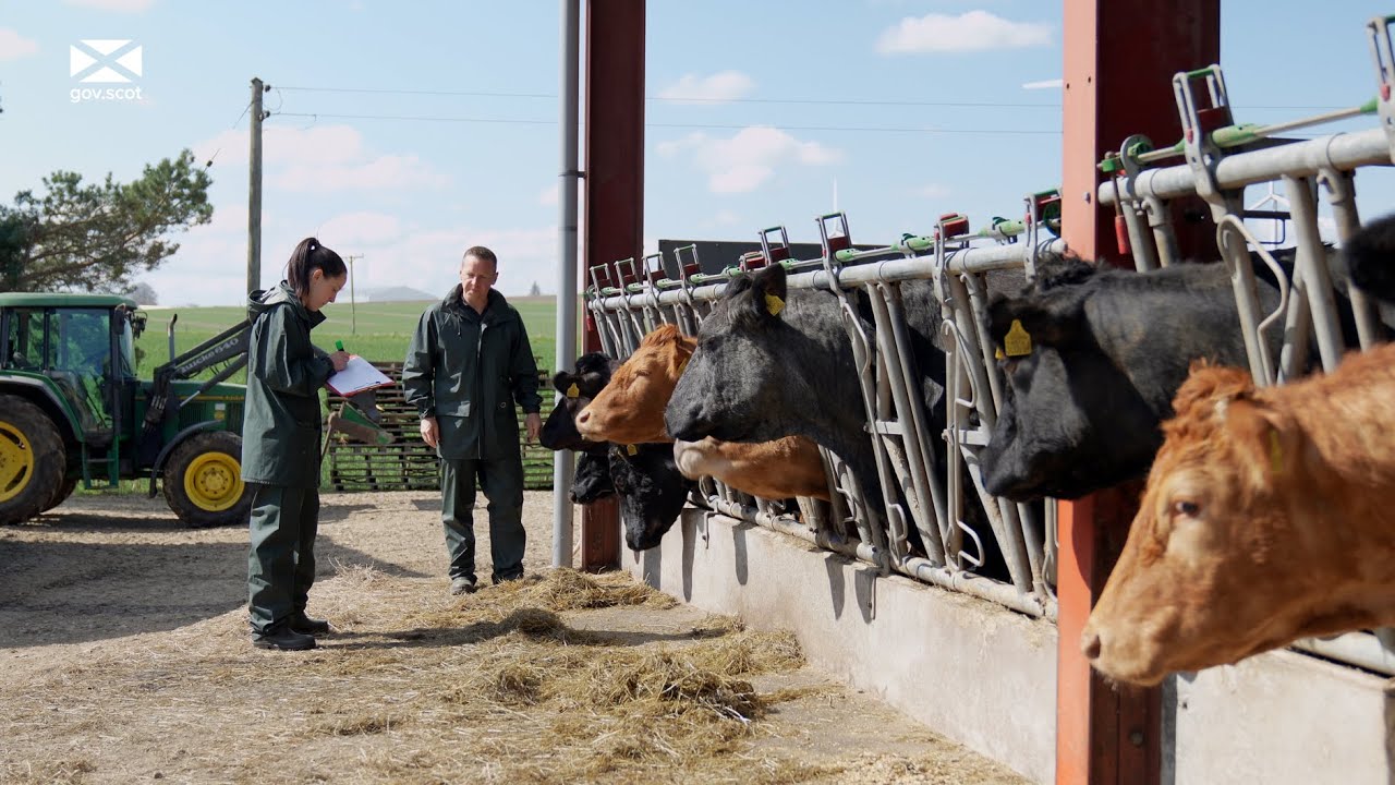 Scottish agriculture - Agricultural Officers