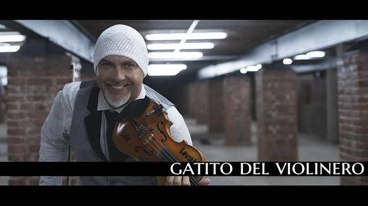 Leandro Lovato - Gatito del Violinero - (Video Ofi...