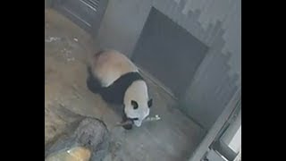 20190606 1
